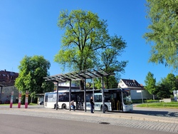 Rundfahrt mit Bus und Zug
