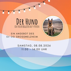 Der Hund, ein treuer Begleiter auf 4 Pfoten