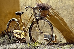 Fahrradtour + Minigolf