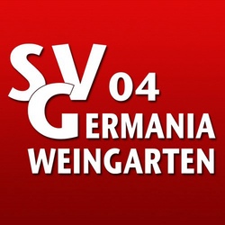 Ringen - Vorstufe - keine Vorerfahrung notwendig
