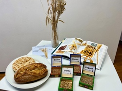 Sonderführung Kloster Alpirsbach: Vom Korn zum Brot