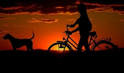 Radtour und Picknick