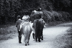 Mit den Ponys durchs Speltbachtal