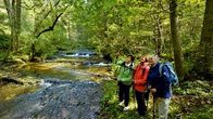Mit der Wutach-Rangerin Mareike Matt den Hüfinger Waldlehrpfad entdecken