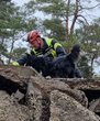 Arbeiten mit Rettungshunden