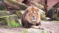 Arche Noah Zoo Braunschweig