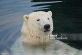 Zoo am Meer (Bremerhafen)
