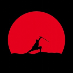 Ninja Camp