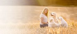 Trust the Dog - Hundeschule zum Anfassen