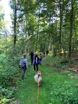 Escape the woods