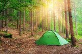 5 tägige Abendteuerfreizeit im Wald Nr.2