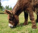 Tierpark Arche Warder