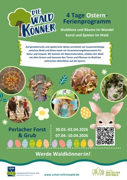 Werde Waldkönner:in!