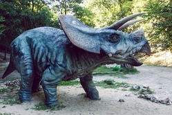 Dino-Abenteuer im Altmühltal