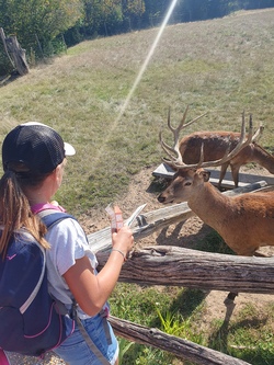 Wildpark Bad Mergentheim