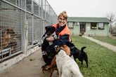 Tierheim Jübberde, wir helfen mit!