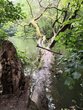 Leben im Wasser und Angeln