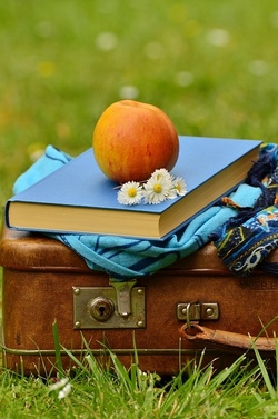 Lesepicknick