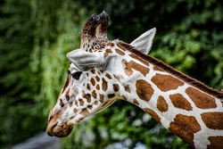 ABGESAGT: Ausflug zum Tierpark Jaderberg