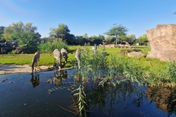 Tagesfahrt in den Zoo Leipzig (Anmeldung ab 21. Juni 2026)