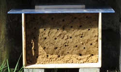 Nisthilfe für Wildbienen – Lehmkasten