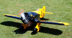 Kinderfliegen