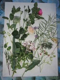 "Kunst-Workshop" - "Malen, basteln u. arbeiten mit Natur-Materialien"