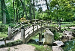 Natur im Garten - Bad Gandersheim