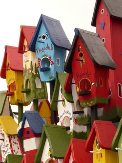 Vogelhaus bauen – Kleines Heim für gefiederte Freunde