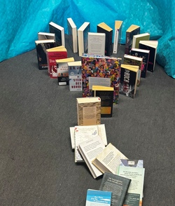 Bücher Domino
