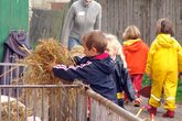 Landwirtschaft hautnah erleben