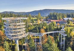 Tagesfahrt - Waldwipfelweg und Sommerrodelbahn im Bayerischen Wald