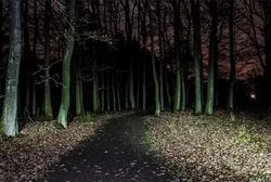 nächtliche Abenteuerwanderung