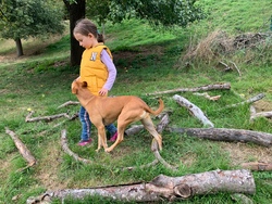 Dog-Fun for Kids mit Therapiehund Luna