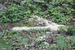 Detektivschnitzeljagd