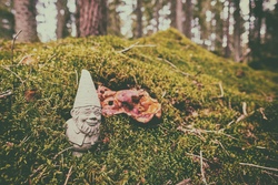 Märchenwanderung durch das Bergholz