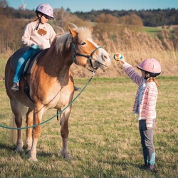 Zeit mit Pferden - Pferdeabenteuer in den Sommerferien