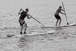 SUP- Abenteuer für Einsteiger*innen