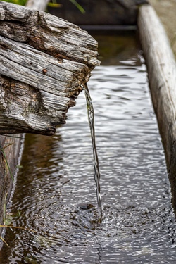Fluss-Piraten & Wasser-Forscher