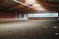 2026149 - Schnupperkurs Hobby Horsing - das Steckenpferd-Reiten bringt Kinder in Bewegung