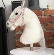 Hobby Horsing