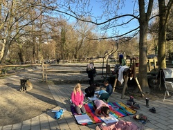 Pferdegruppe Di. 14.30-16h Anmeldung ab 14.9.2026 18:00 Uhr möglich