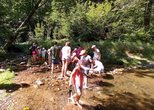 Wandern & Spielen am Aubach