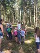 Komm mit uns in das Wohnzimmer der Waldtiere!