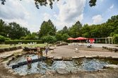 Paradiso Tours: Flora Westfalica Park