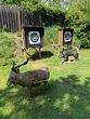 Bogenschießen im "Wald" mit dem SV Tell Dasing