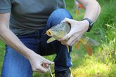 Kleine Angler ganz groß