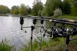 Schnupperfischen am Mühlweiher