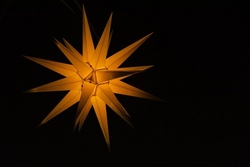 Weihnachtssterne