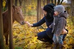 Eltern-Kind- Ponyzeit